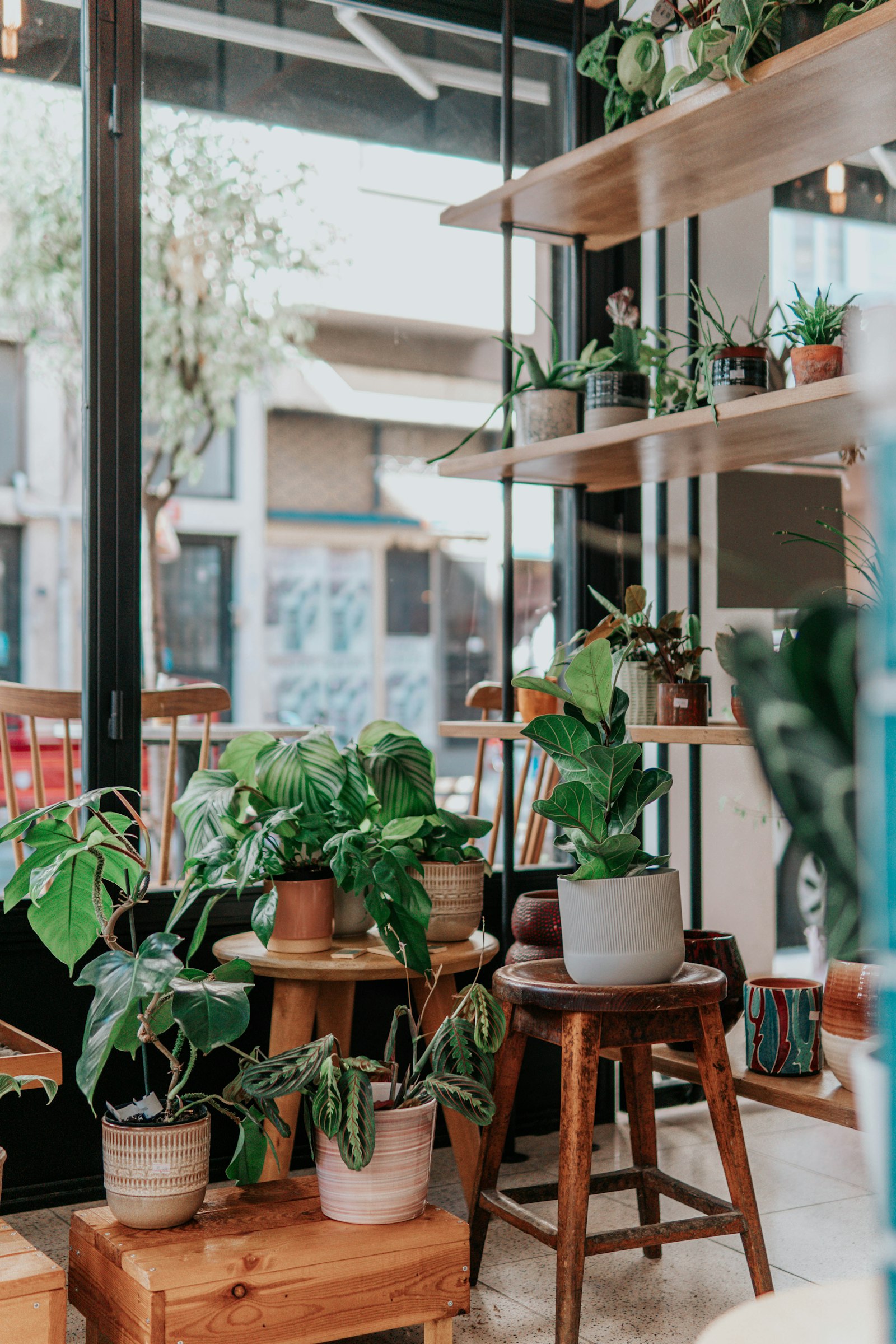 植物と木のぬくもりに包まれた店内