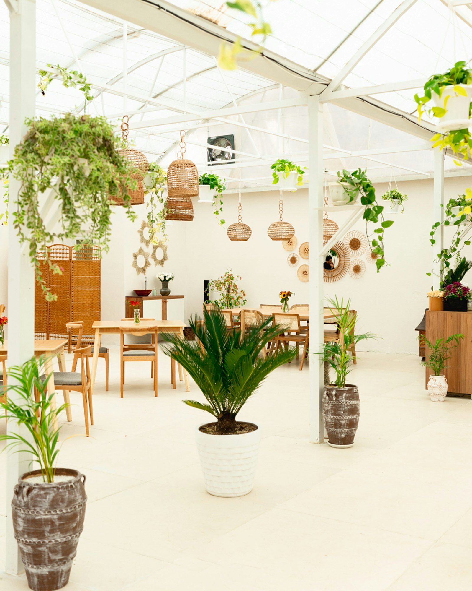 植物いっぱいのナチュラルカフェ店内
